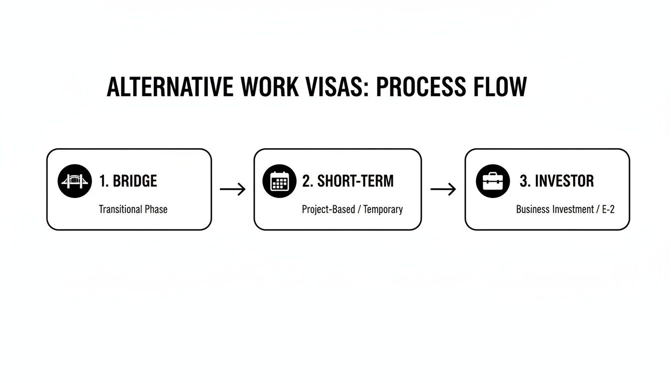 A process flow diagram illustrating alternative work visas: Bridge, Short-Term, and Investor categories.