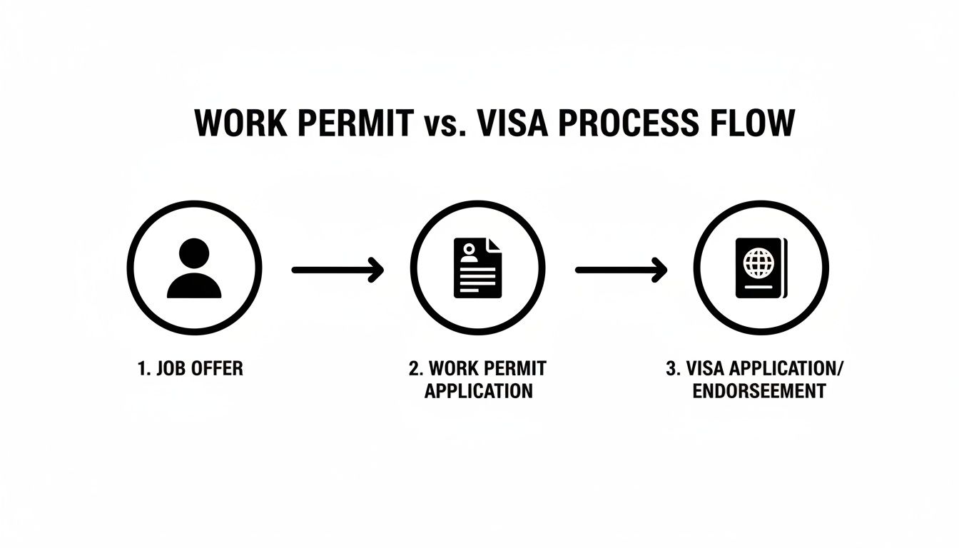 Flowchart illustrating the work permit and visa application process: job offer, permit, visa endorsement.